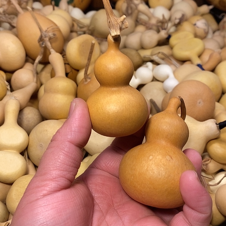 爱***惠精品葫芦手把葫芦88