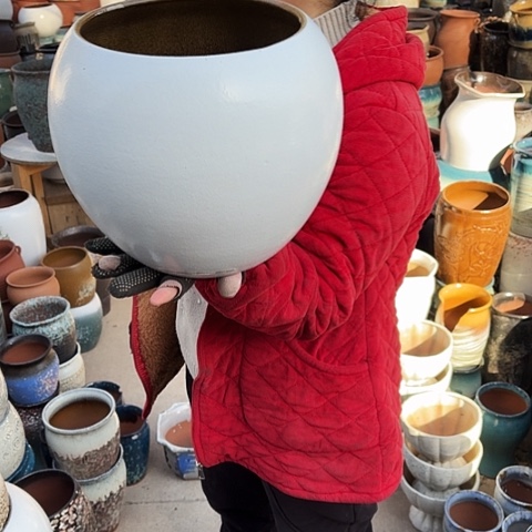 20口23高瑕疵盆子 