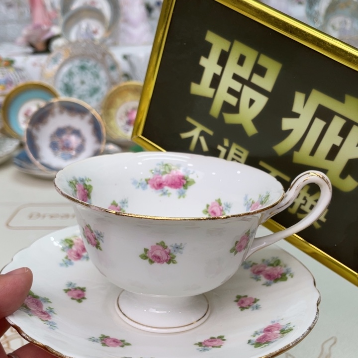 盘维多利亚欧洲中古