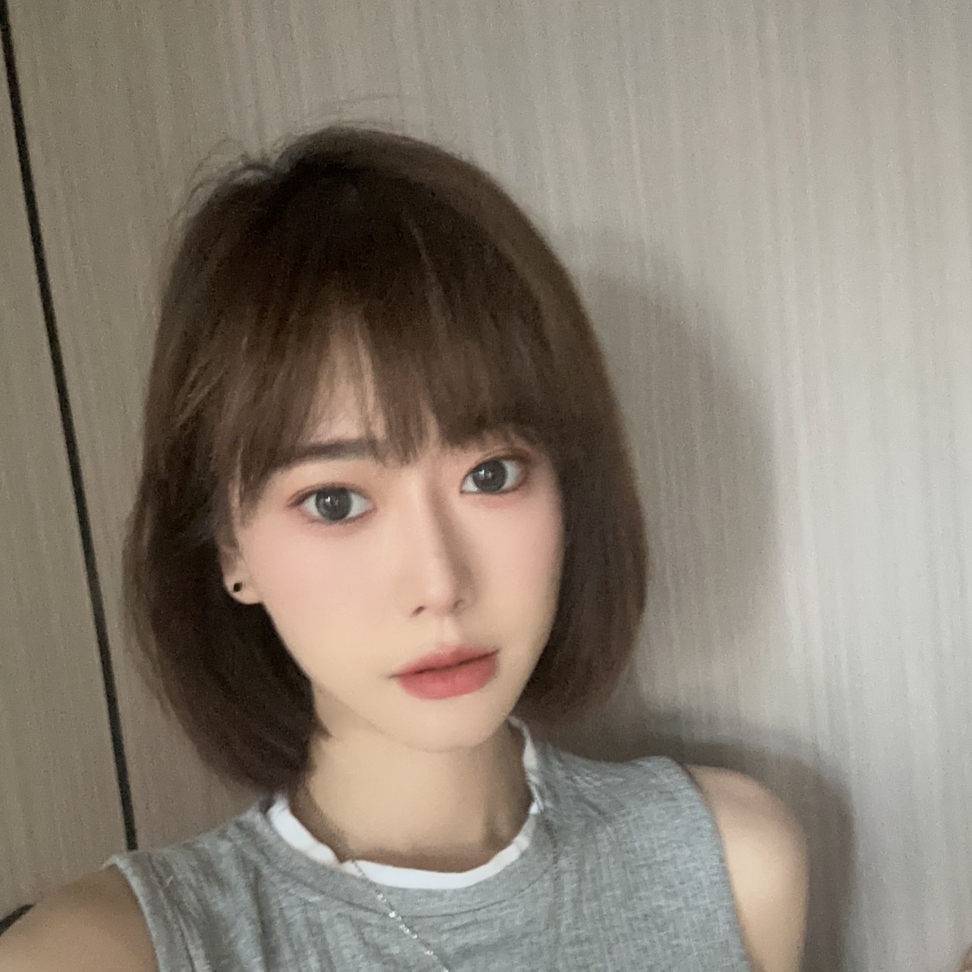 COCO DICV25新款高端定制时尚女包 老花水印枕头