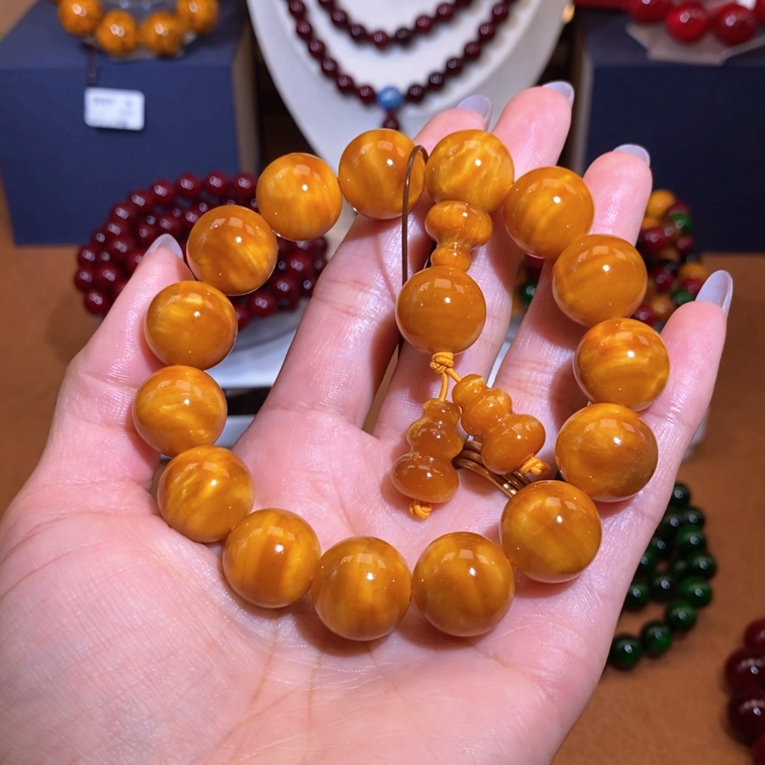 贝壳杉血龙木1.5玉化龙胆