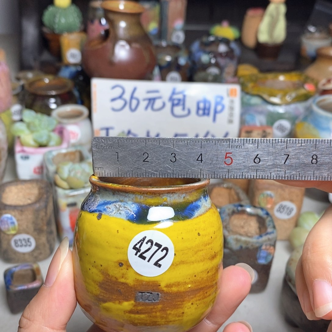 拍5送一个小礼物