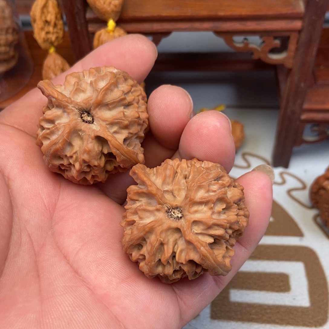 黄***哥大叶紫檀（黑酸枝木类）苹果园