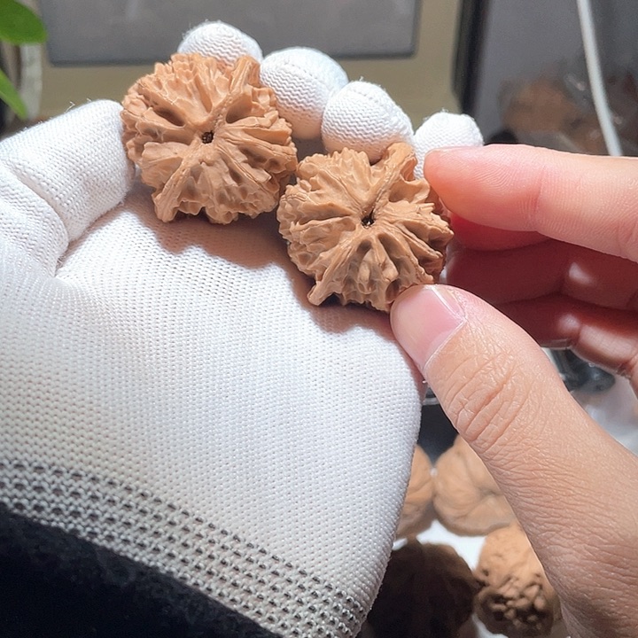 集****龙38全品无修蓟县苹果园