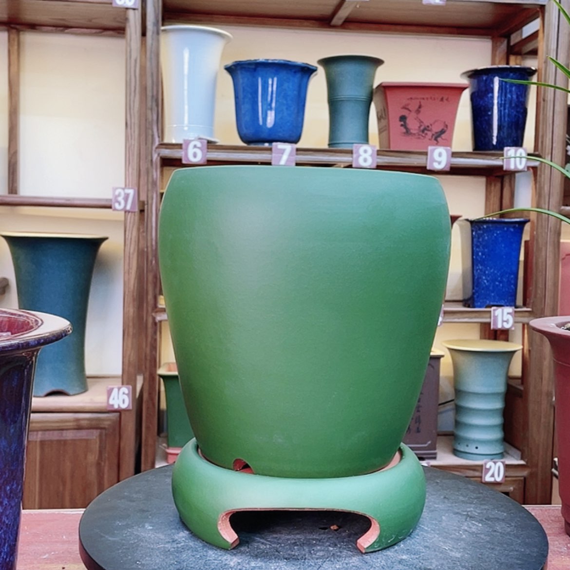 【闪购商品】紫砂花盆兰花155588882368889666