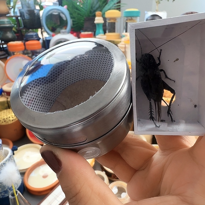 拉子套啊啊啊啊啊