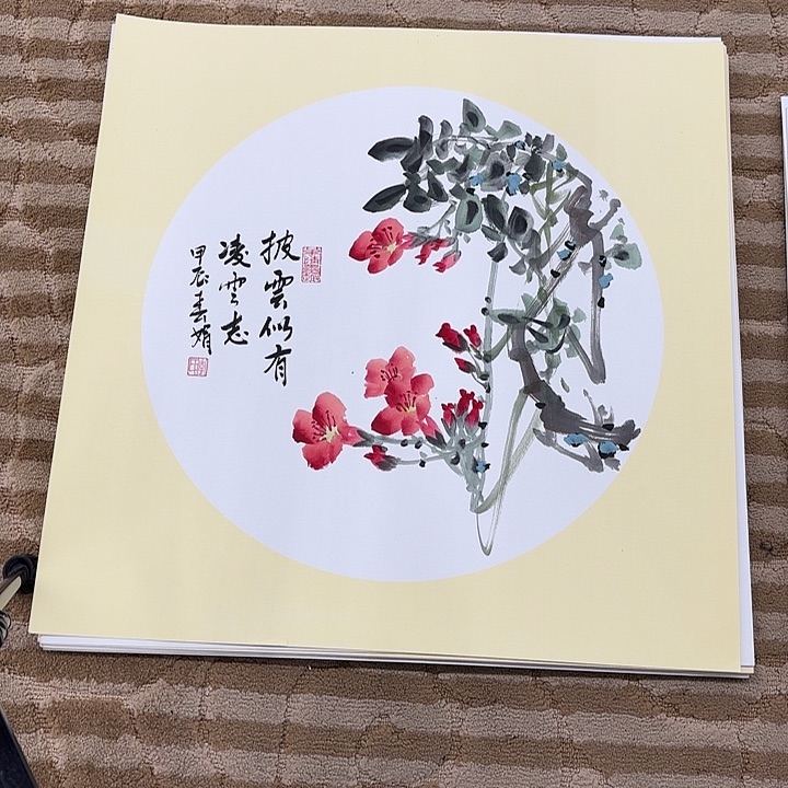 国画花鸟的翅膀是一个