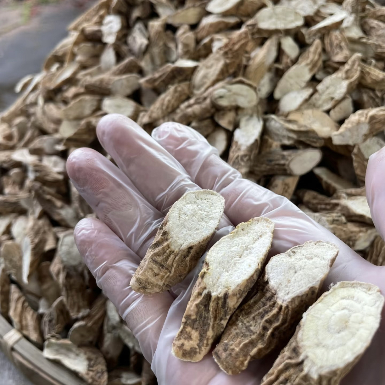 广西野挖新鲜【晒干粉质牛大力】根茎食品