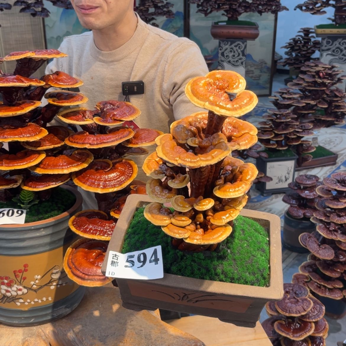 【闪购商品】88888