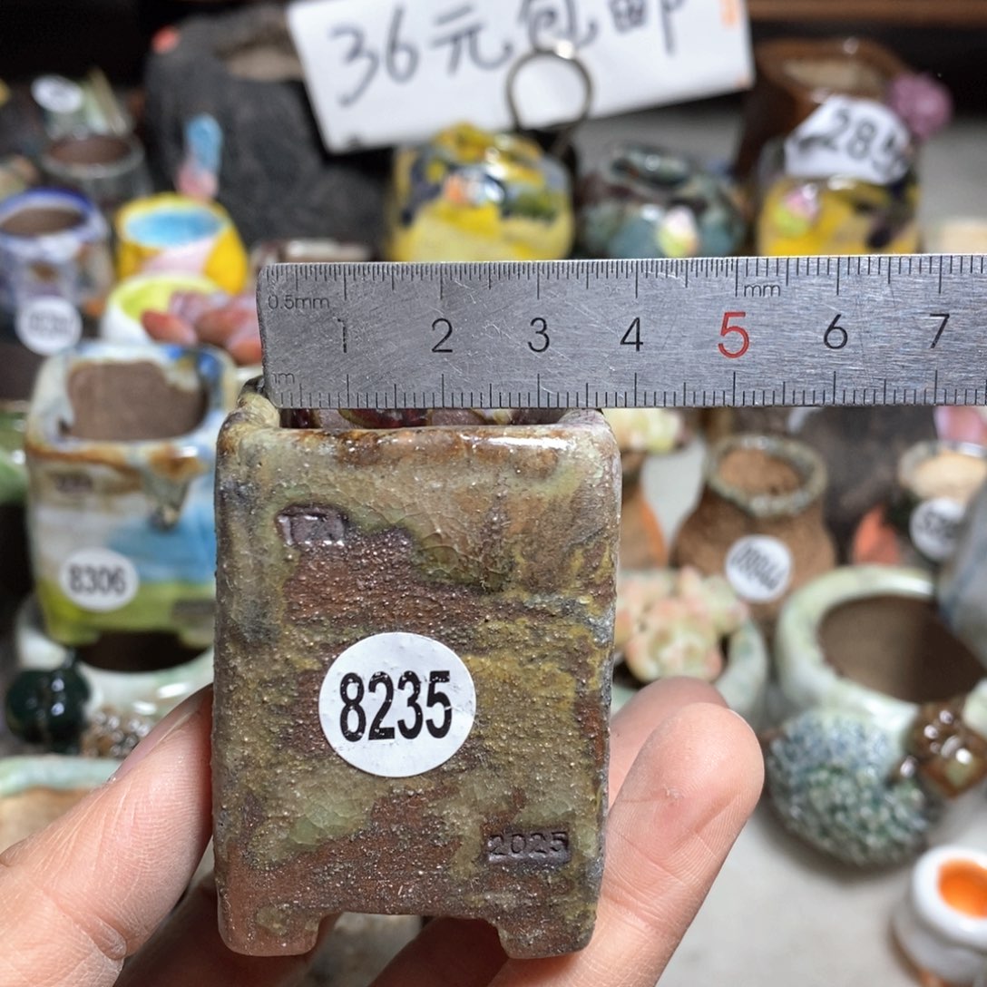 拍3送一个小礼物