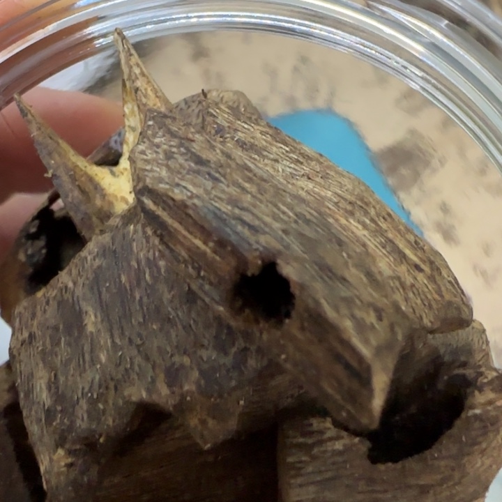 沉香沉香碎屑棋楠陆河块