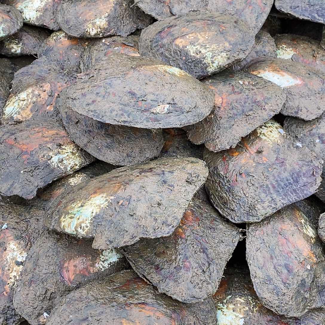 合金吊坠淡水珍珠