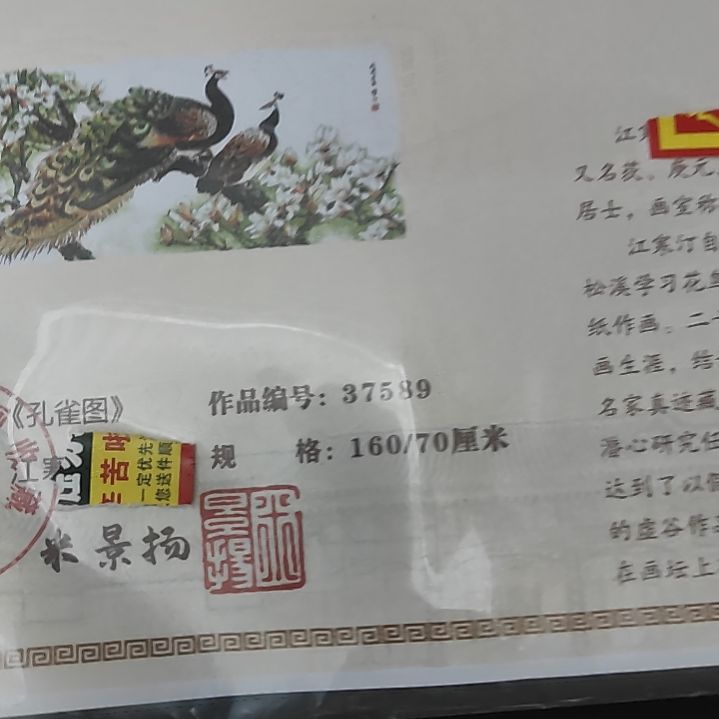 代拍链接你直播间物品为准