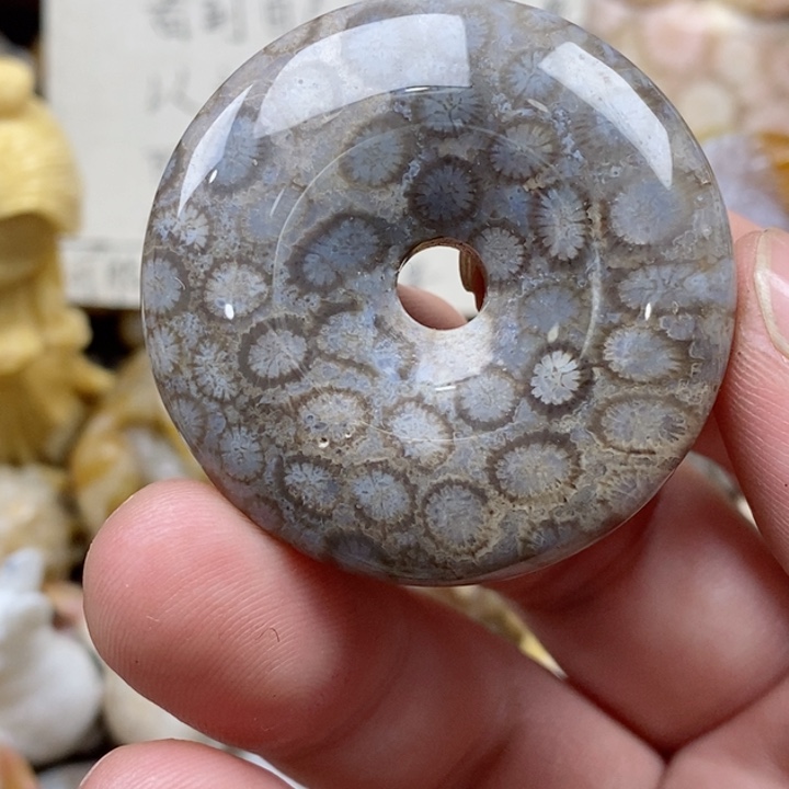 颈饰未镶嵌硅化珊瑚（珊瑚玉）