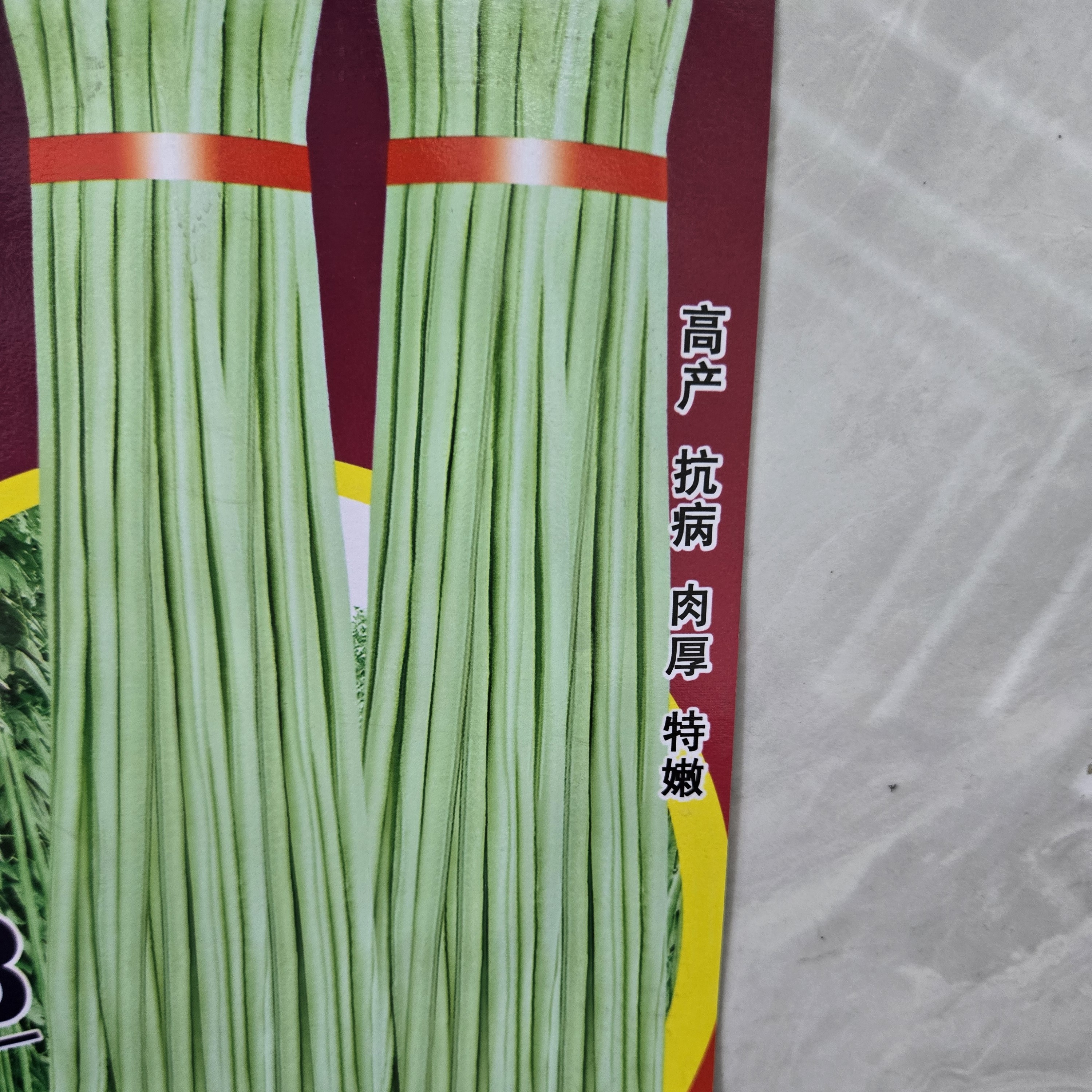 白 条 豇豆 种子