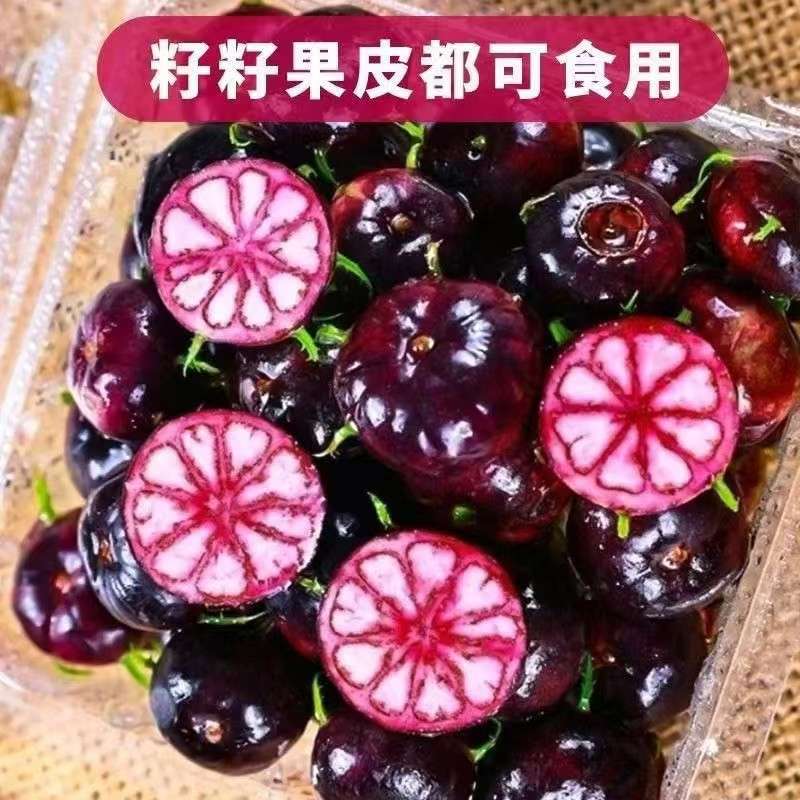 正宗云南新鲜现摘红果参中果125g*8盒当季稀有高原水果口感酸甜