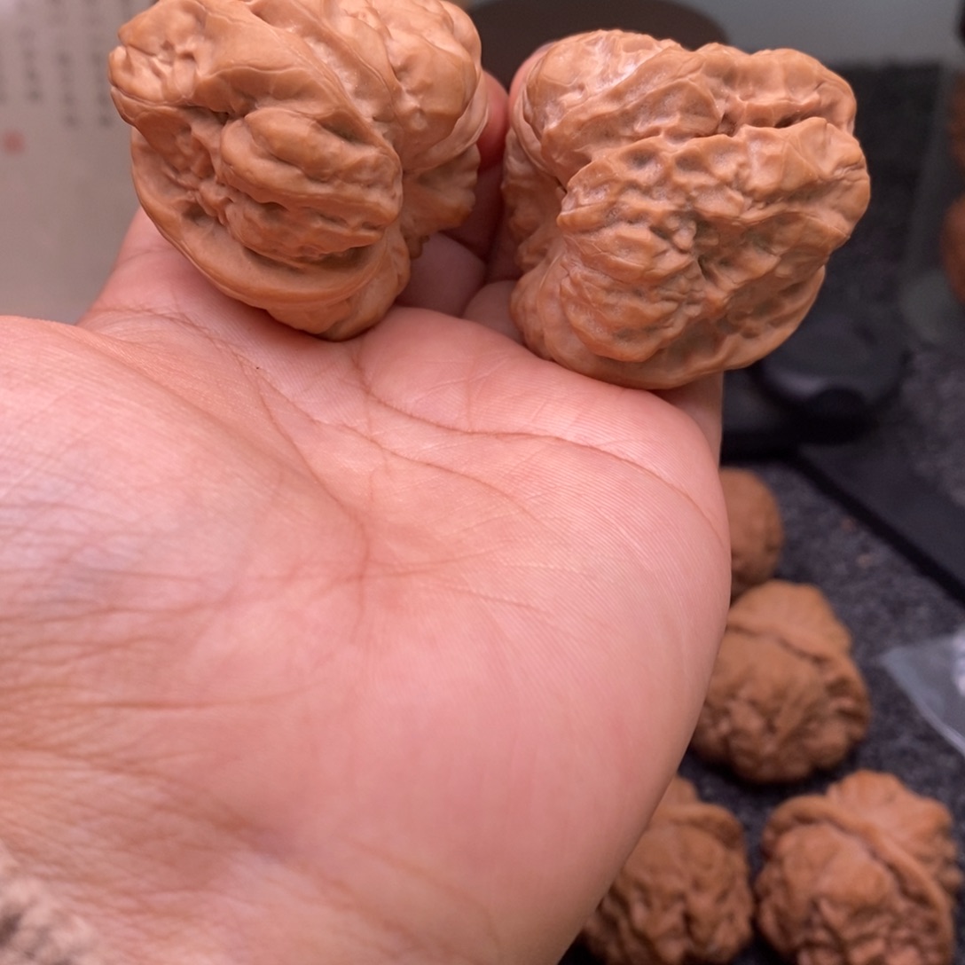 文玩核桃把件41边45肚蛤蟆头