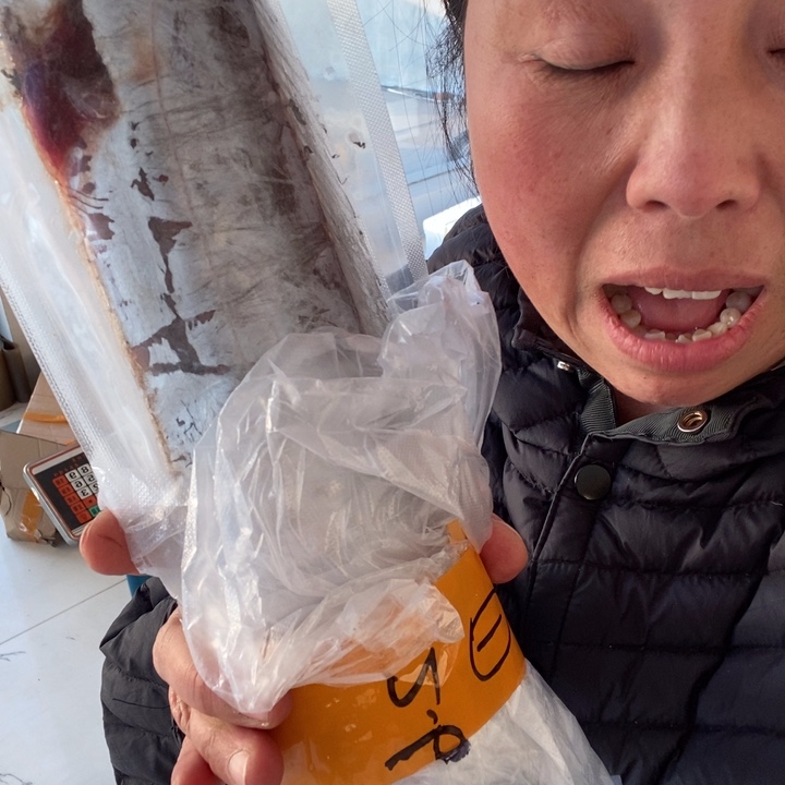 中国大陆渤海湾野生刀鱼有瑕2.6斤1号