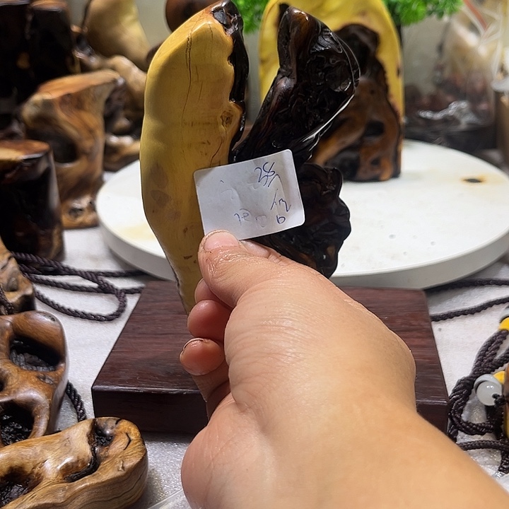 亿***田枣木手把111111111