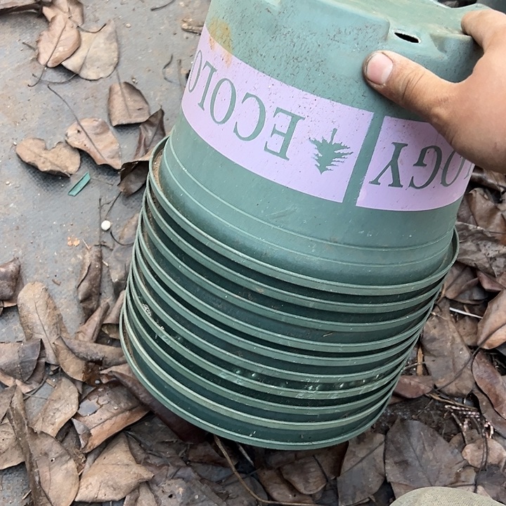 加仑盆福利10个口径24高17