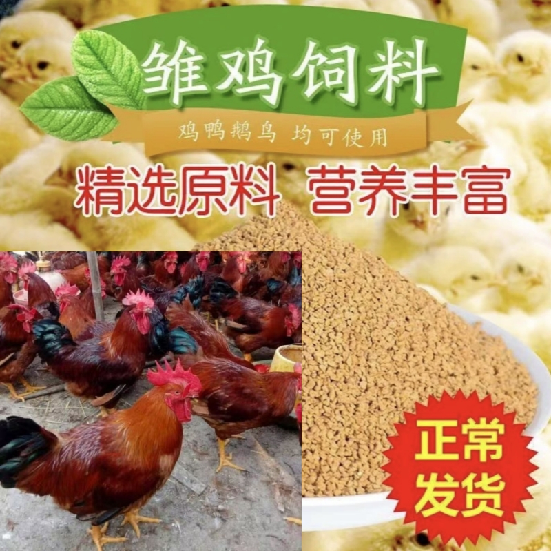 养殖物资饲料健康好喂养