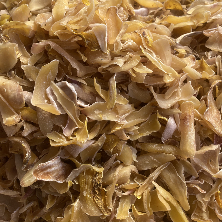 A6【村长严选】源自农家【龙牙百合】