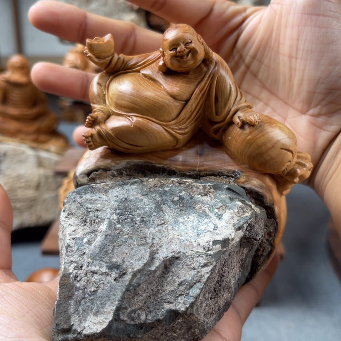 柏木（崖柏）崖柏太行山脉