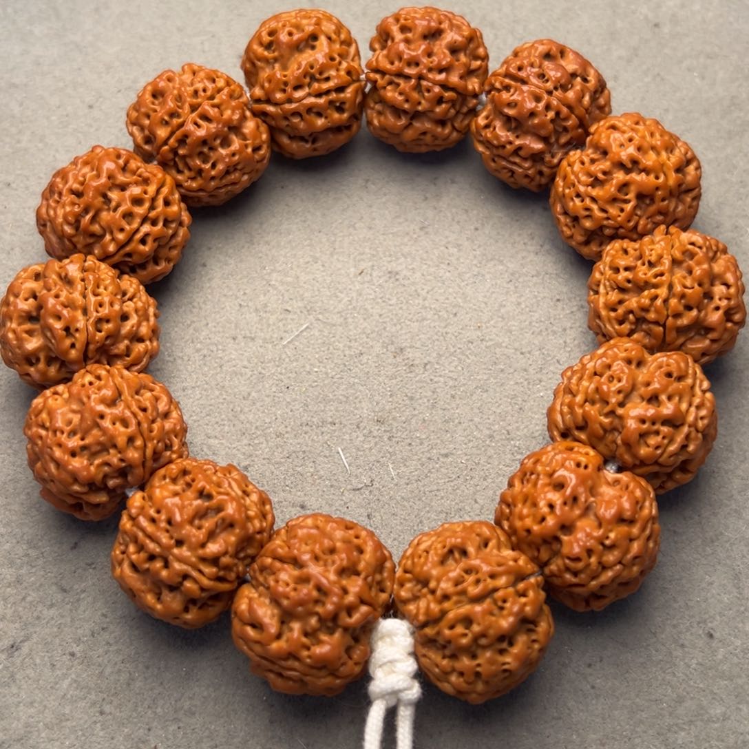 菩提8号金刚菩提梅花蜂窝25