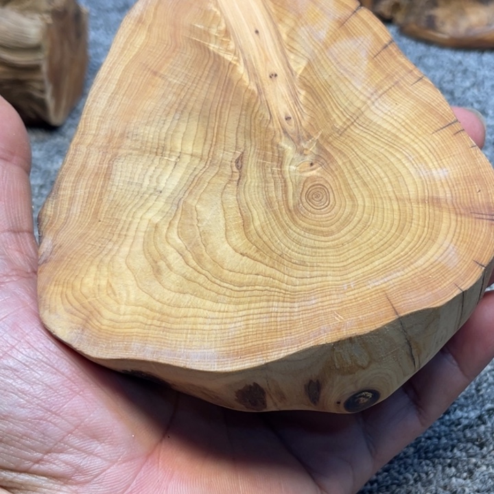 柏木（崖柏）崖柏32