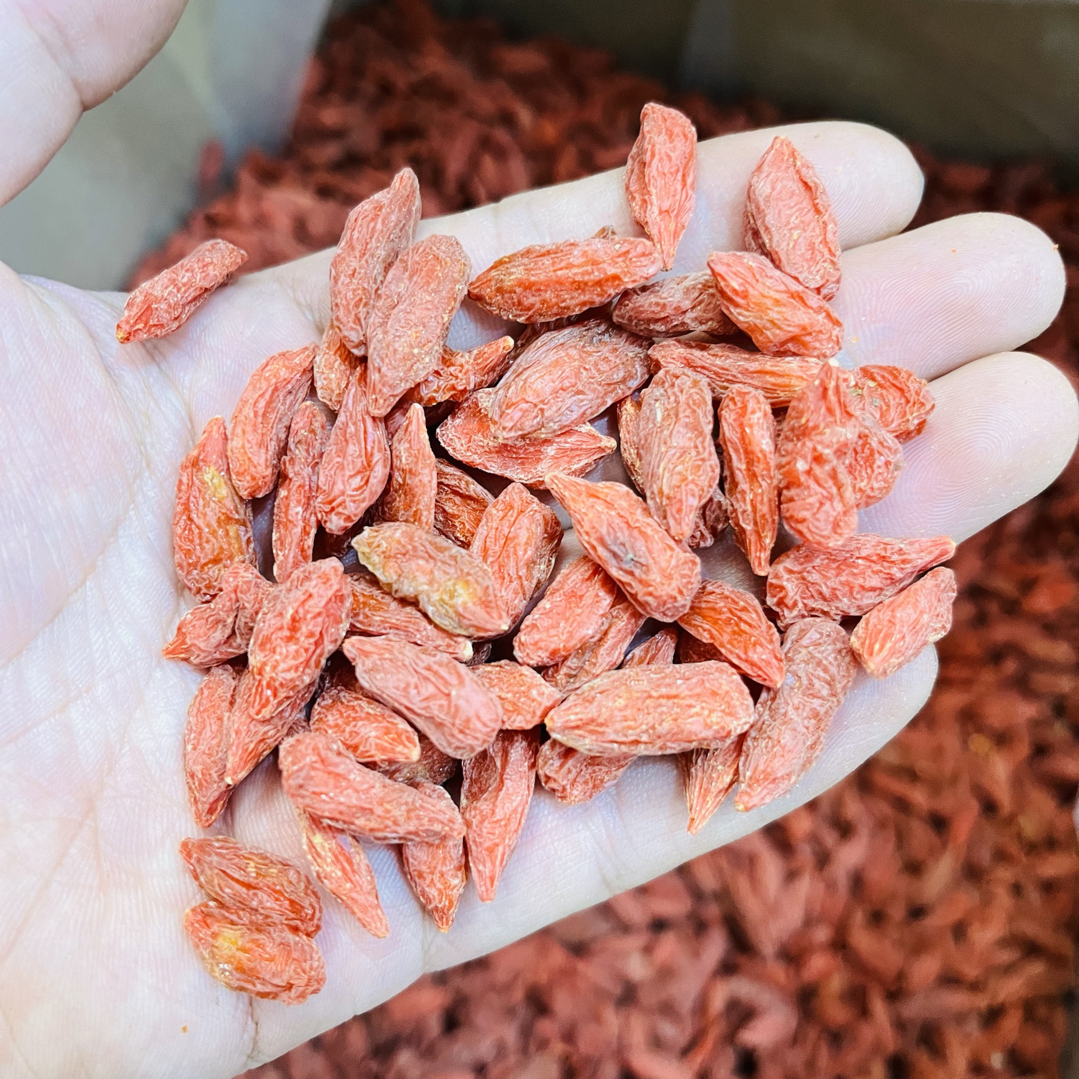 宁夏头茬新货枸杞中宁红枸杞子大颗粒枸杞子250g/瓶 泡水 煲汤