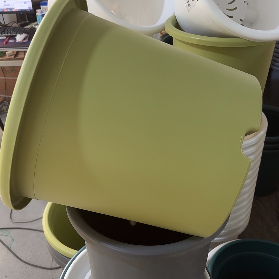 微瑕9号2个无托，果绿