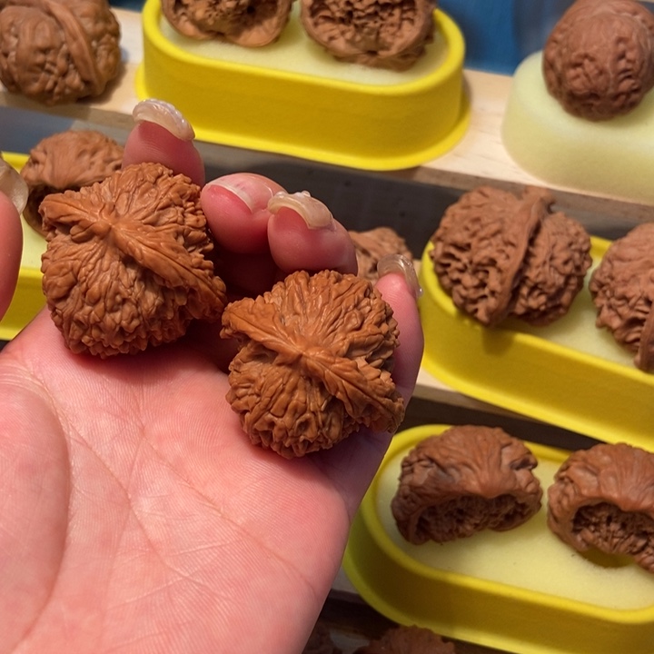 官方网站发布消息