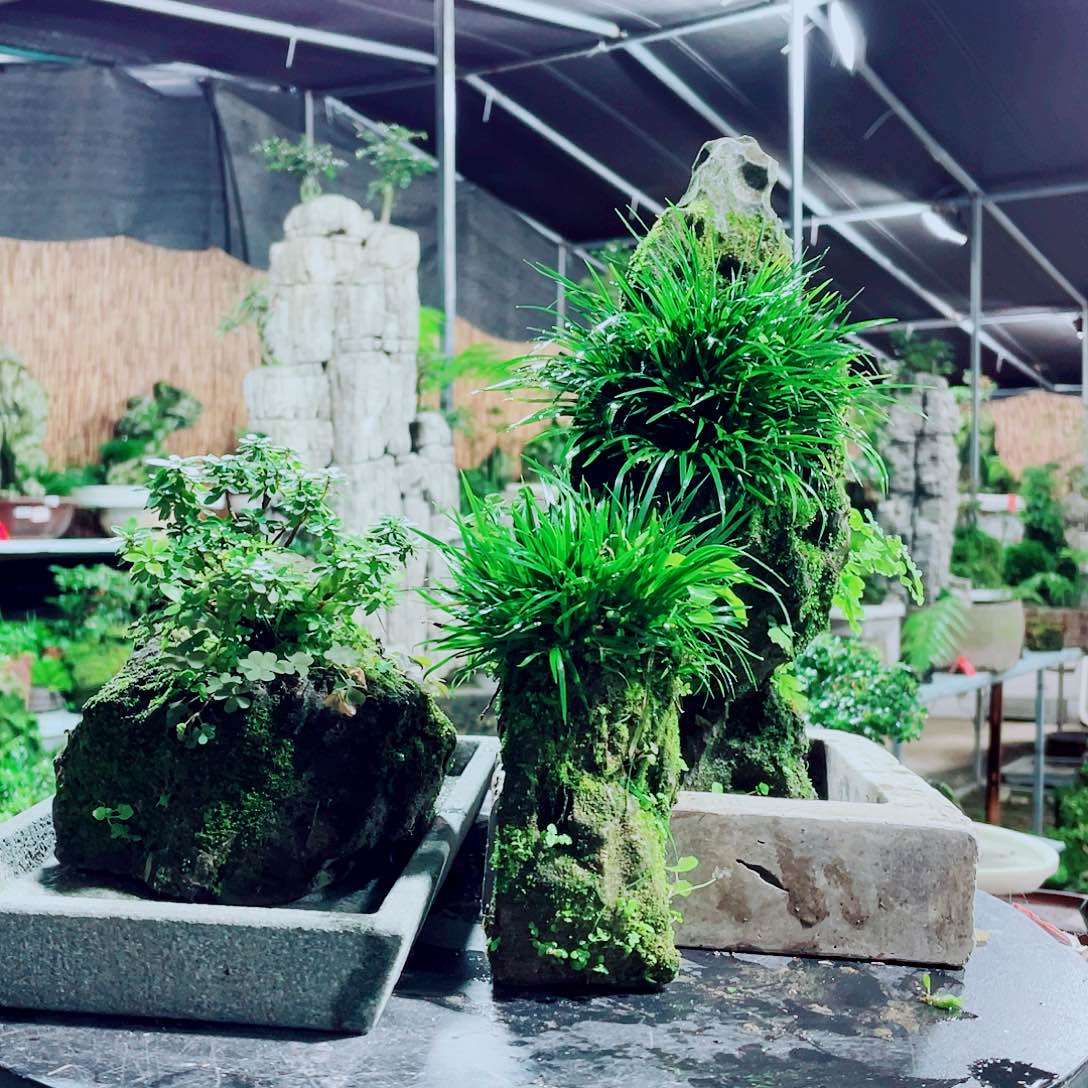 老***A无花朵我不敢给别人看孩子我都