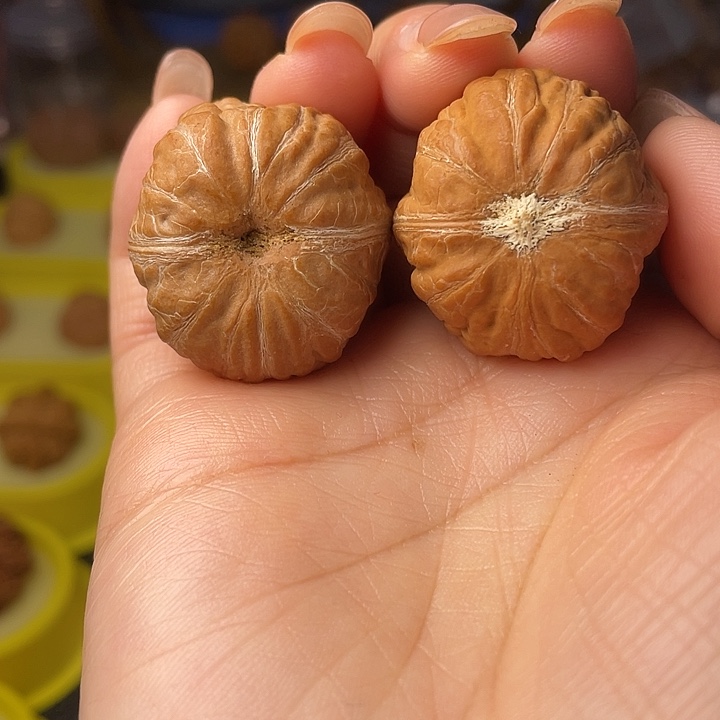 文玩核桃吊坠树皮纹