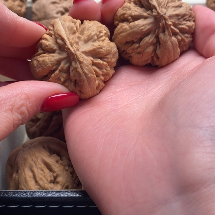 陈***意霸王龙全品无修一刀没动