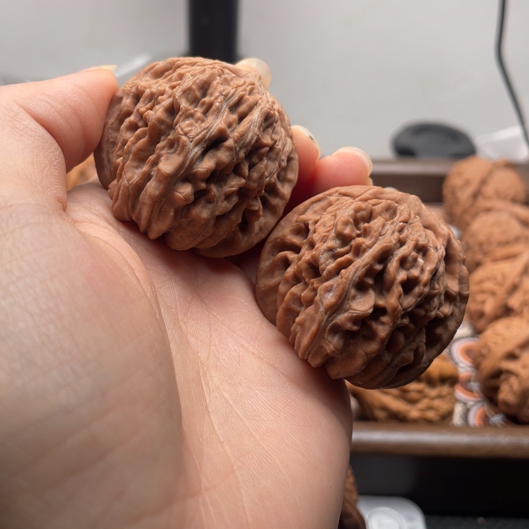 秋****核桃手串/手链四座楼41尺全品