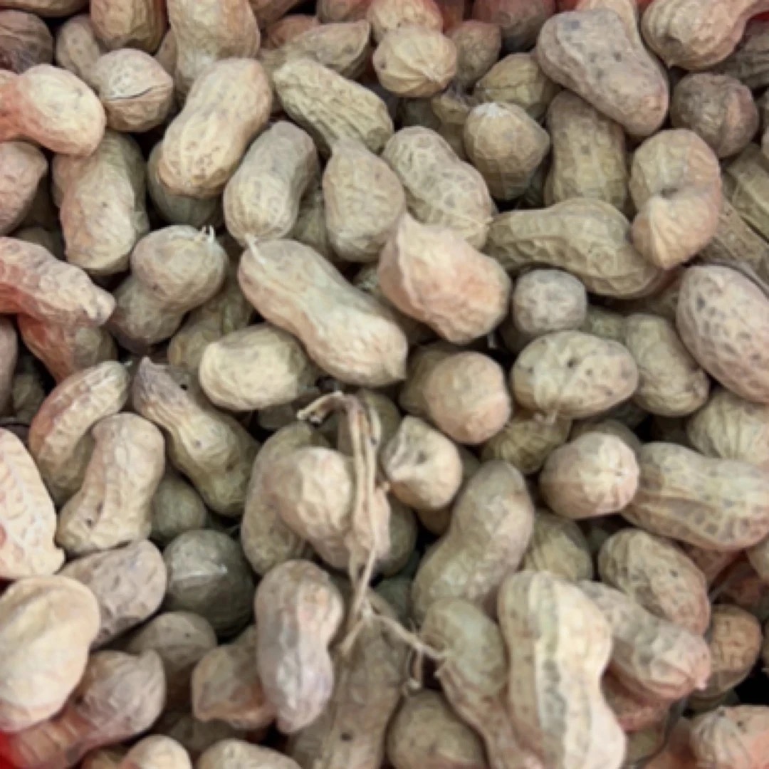 农家自种 带壳生花生