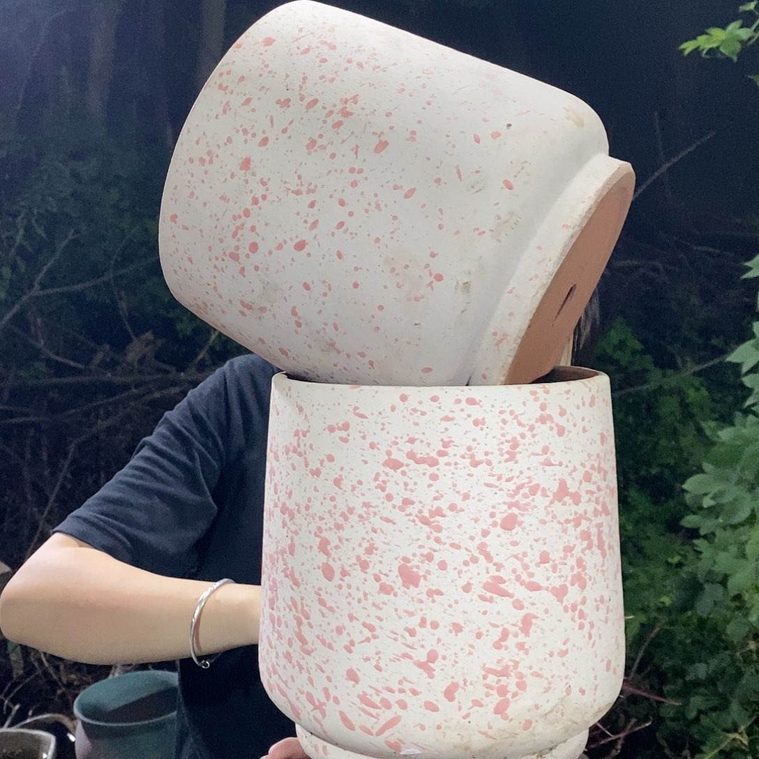 紫砂花盆正品20/20