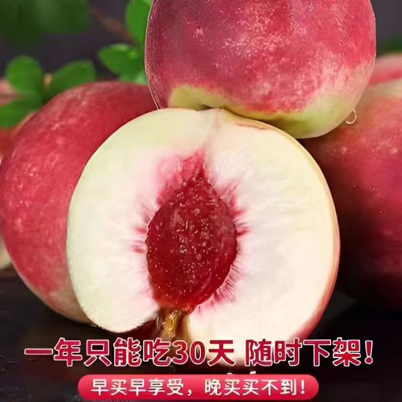 A云南大理冬雪蜜桃新鲜应季脆甜多汁离核水果