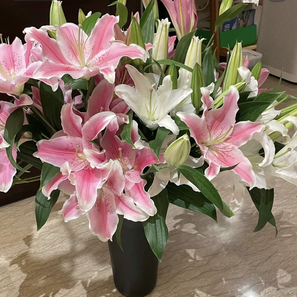 云南香水切花真花插花正宗香水百合持久室内客厅家居摆件圣心百合