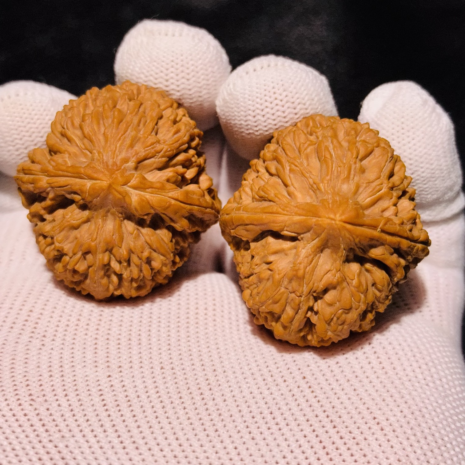 全品大蒜头喜欢的来！