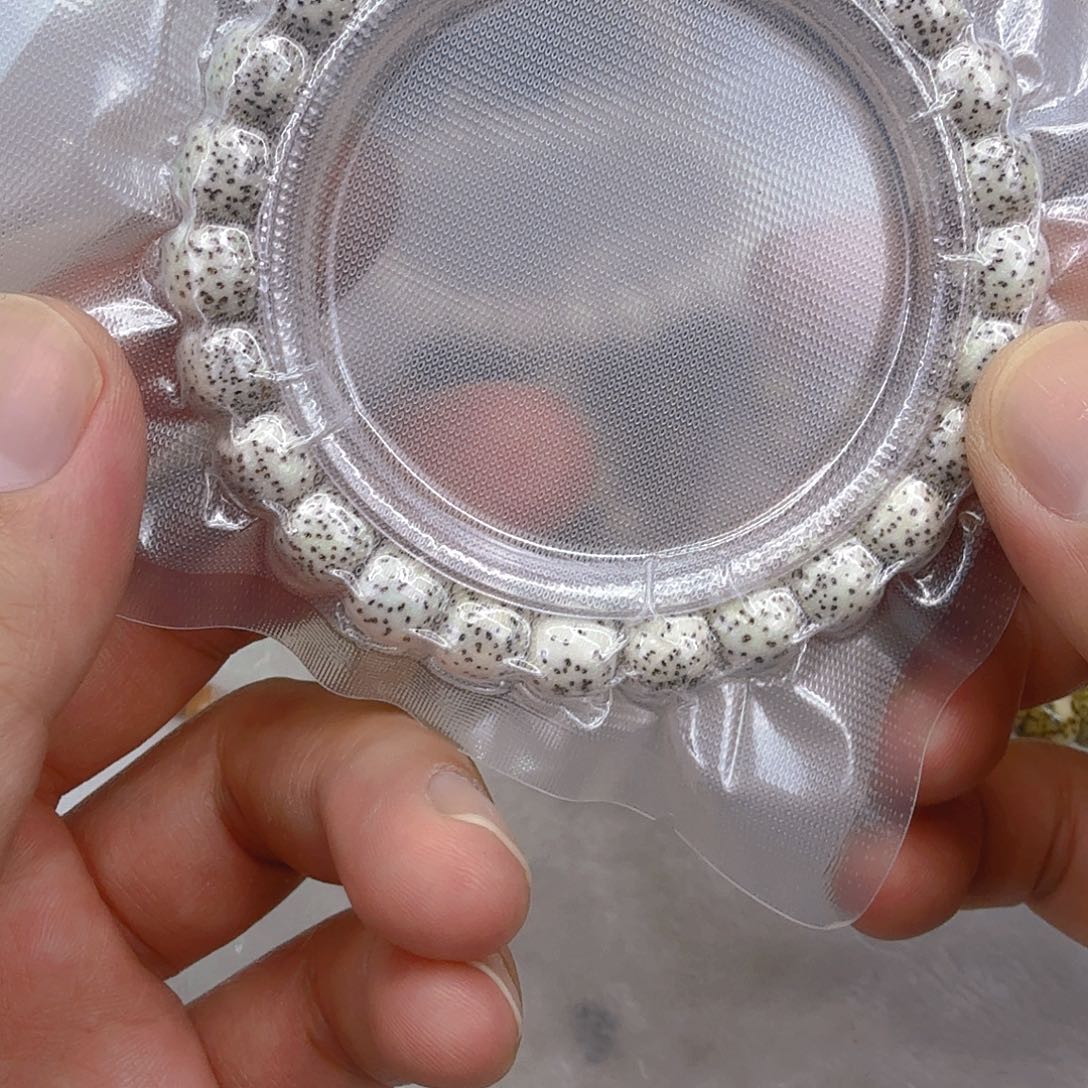 星月菩提手串4入门原脂白星月菩提单圈0.9