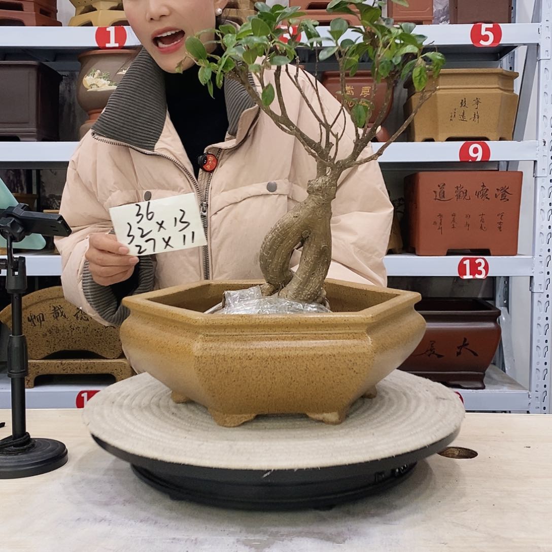 紫砂花盆紫砂花盆