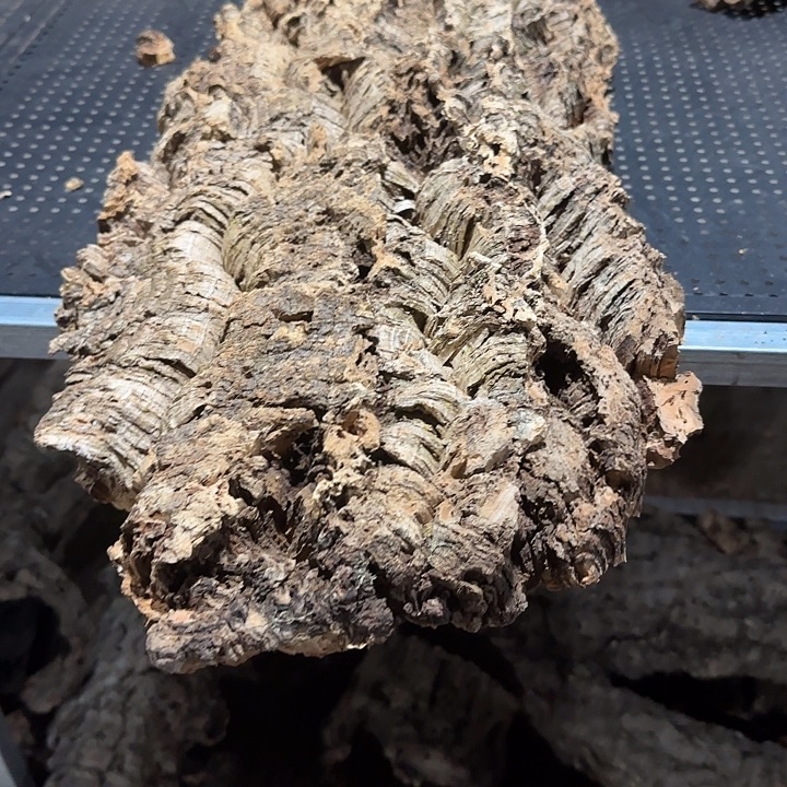 /***信无花朵一物一拍一物一发