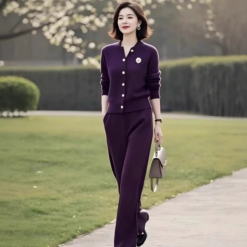 2025韩版简约女装高端设计感春秋优雅高级开衫松紧腰休闲裤两件套