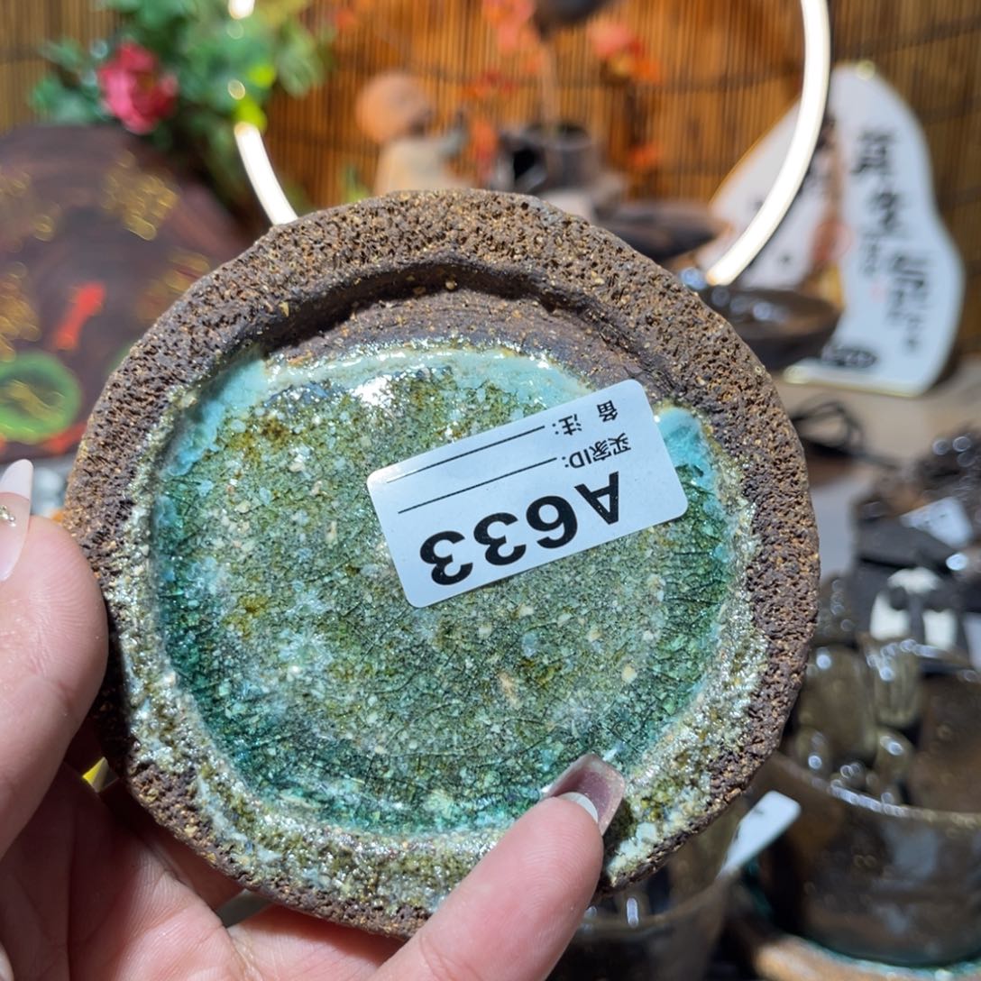 木村信弘柴烧保平