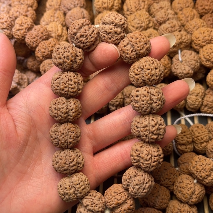 菩提尼泊尔大金刚爆肉梁龙牙四瓣20