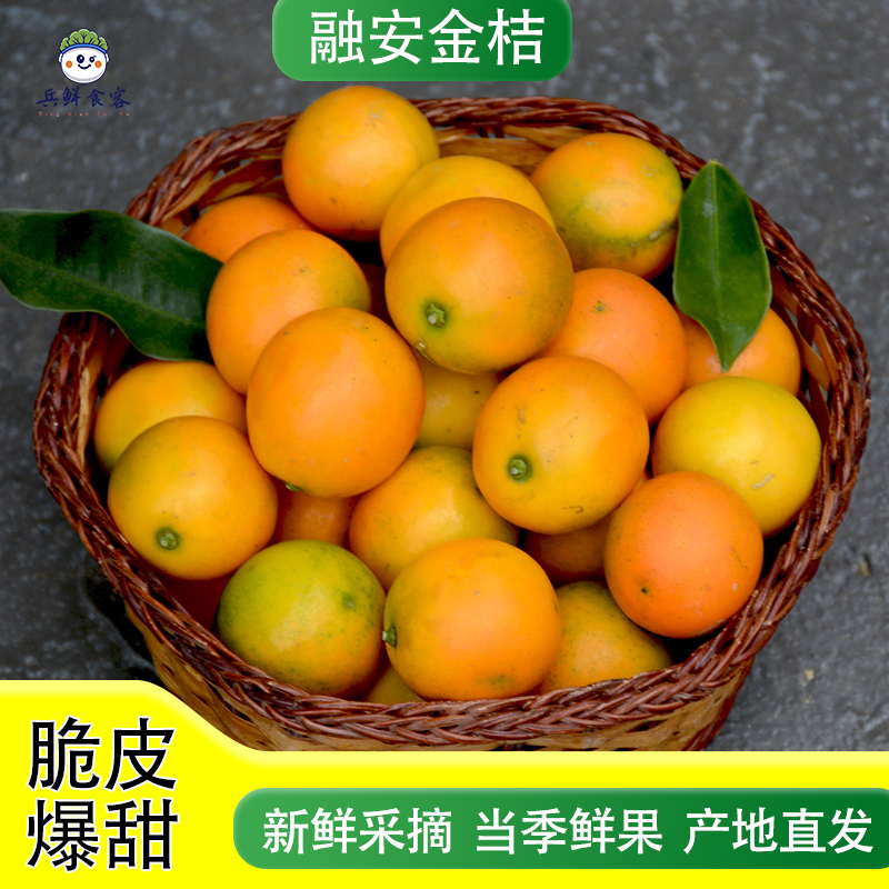 广西融安滑皮金桔新鲜现摘皮薄多汁甜度高当季水果