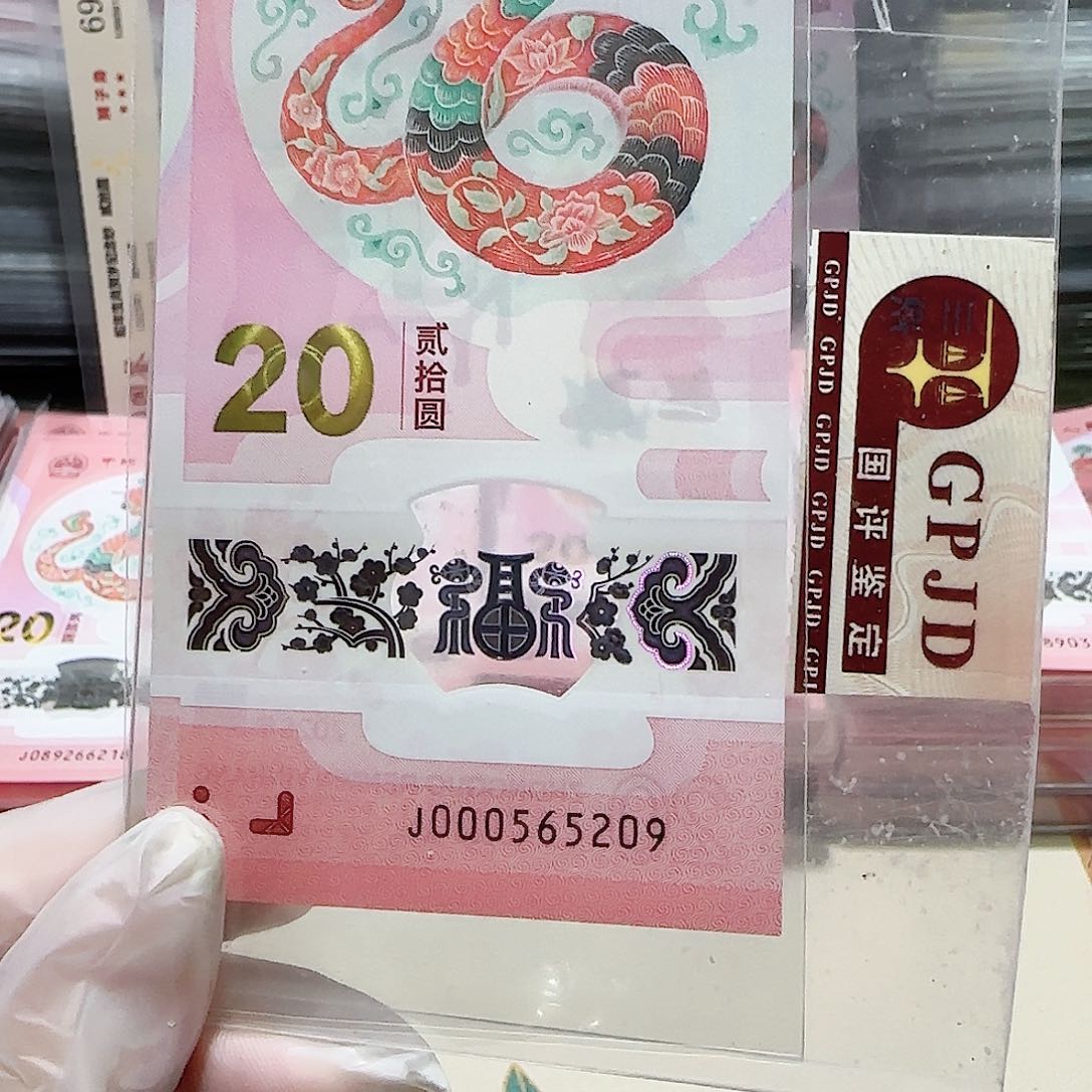 纸000565209。。。。。。小司令如意号