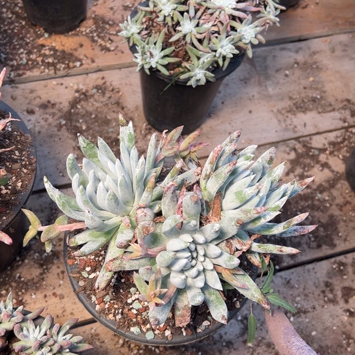 1558哈哈哈哈哈哈哈